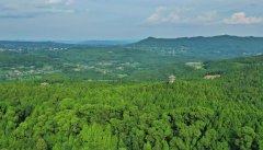 南宋《种松碑》为千年蜀道翠云廊再添生态文化新证